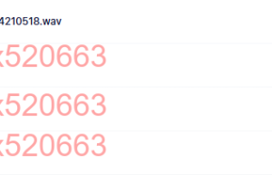 CD1水之心（播放）