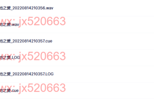 CD2大地之爱（网盘在线下载）