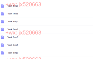 67. 悠季印度经典唱诵  舒缓减压 Divine Chants of Ganesh CD（网盘播放）