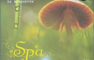 BBS-018清新田园音乐（下载）