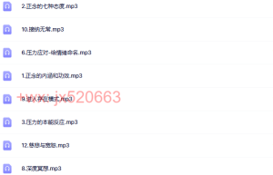 2.正念静心之旅（网盘在线播放）