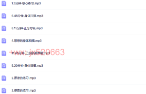 5.温宗堃（网盘播放）