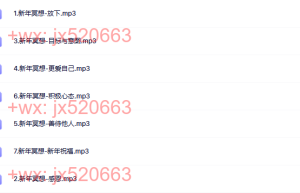 2.新年冥想（播放）