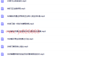 30天正念训练课（网盘在线下载）