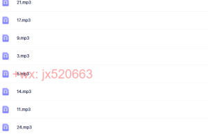 2.30天冥想训练营（下载）