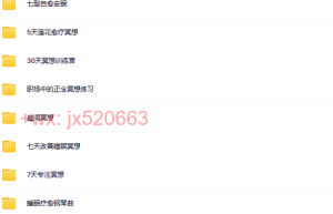 42. 202001-1NOW正念冥想（网盘播放）