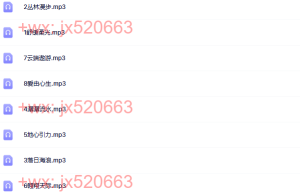 8天禅修冥想（网盘在线播放）