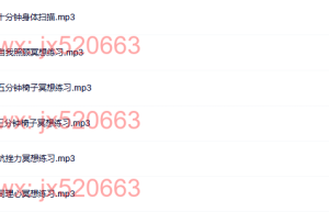 职场中的正念冥想练习（网盘在线下载）