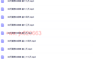 30天冥想训练营（网盘下载）