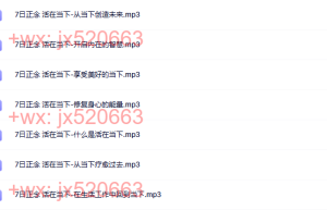 7日正念 活在当下（下载）