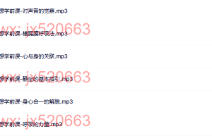冥想学前课（在线下载）
