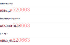 26. 张芝华《找回内心的真爱》（网盘下载）