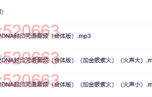 20. 咒语合体版（网盘在线播放）
