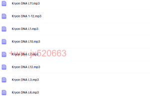 14. 分体咒语能量音频 （12个）mp3（网盘在线播放）