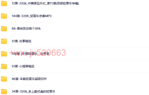 MP3格式（播放）