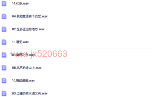 DTS-《试音专用·中国轻音乐》（网盘下载）